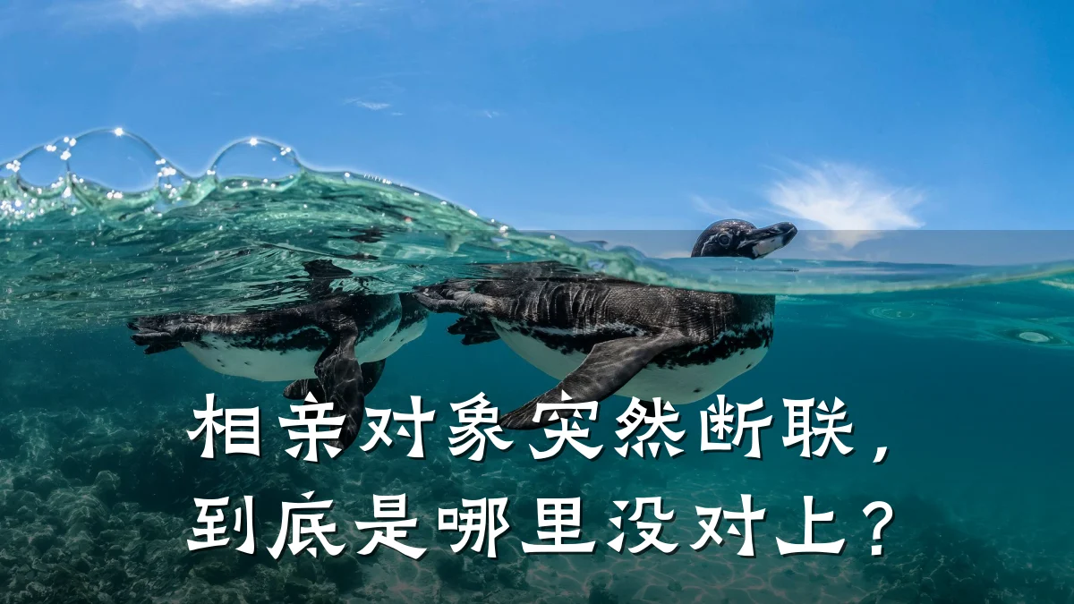 相亲对象突然断联,到底是哪里没对上?