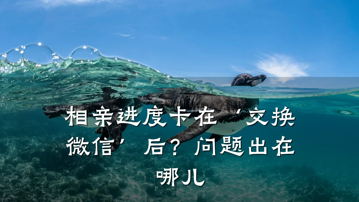 相亲进度卡在‘交换微信’后?问题出在哪儿