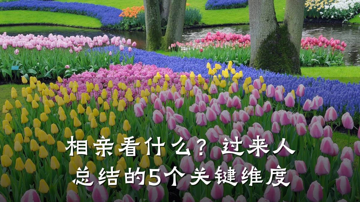 相亲看什么?过来人总结的5个关键维度