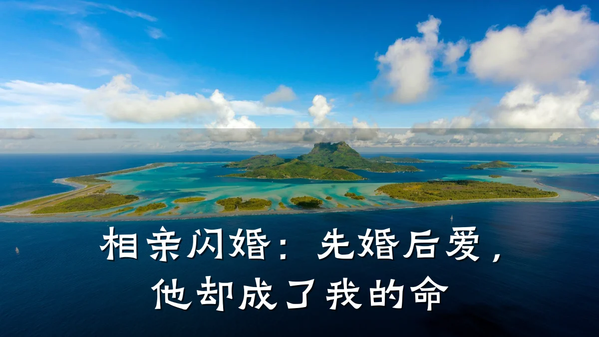 相亲闪婚:先婚后爱,他却成了我的命