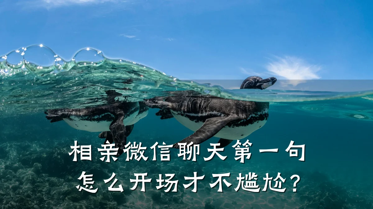 相亲微信聊天第一句怎么开场才不尴尬?