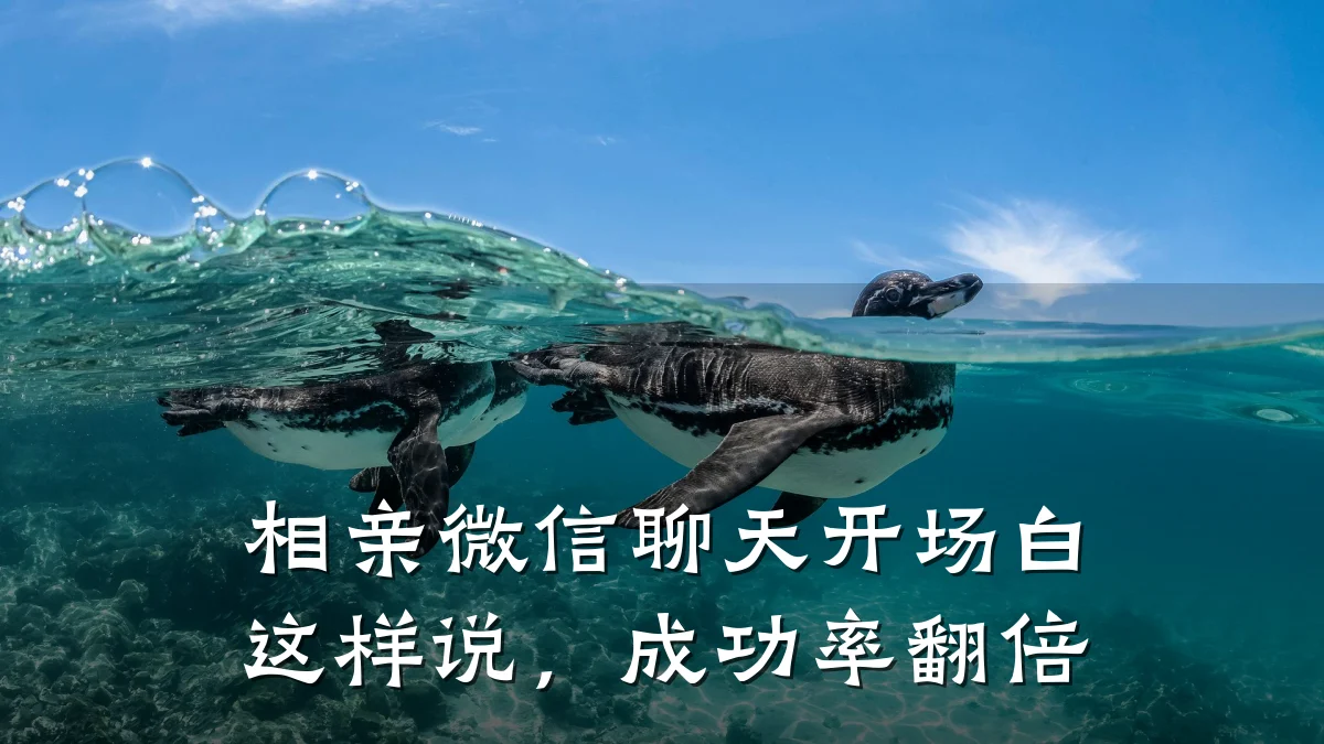 相亲微信聊天开场白这样说,成功率翻倍