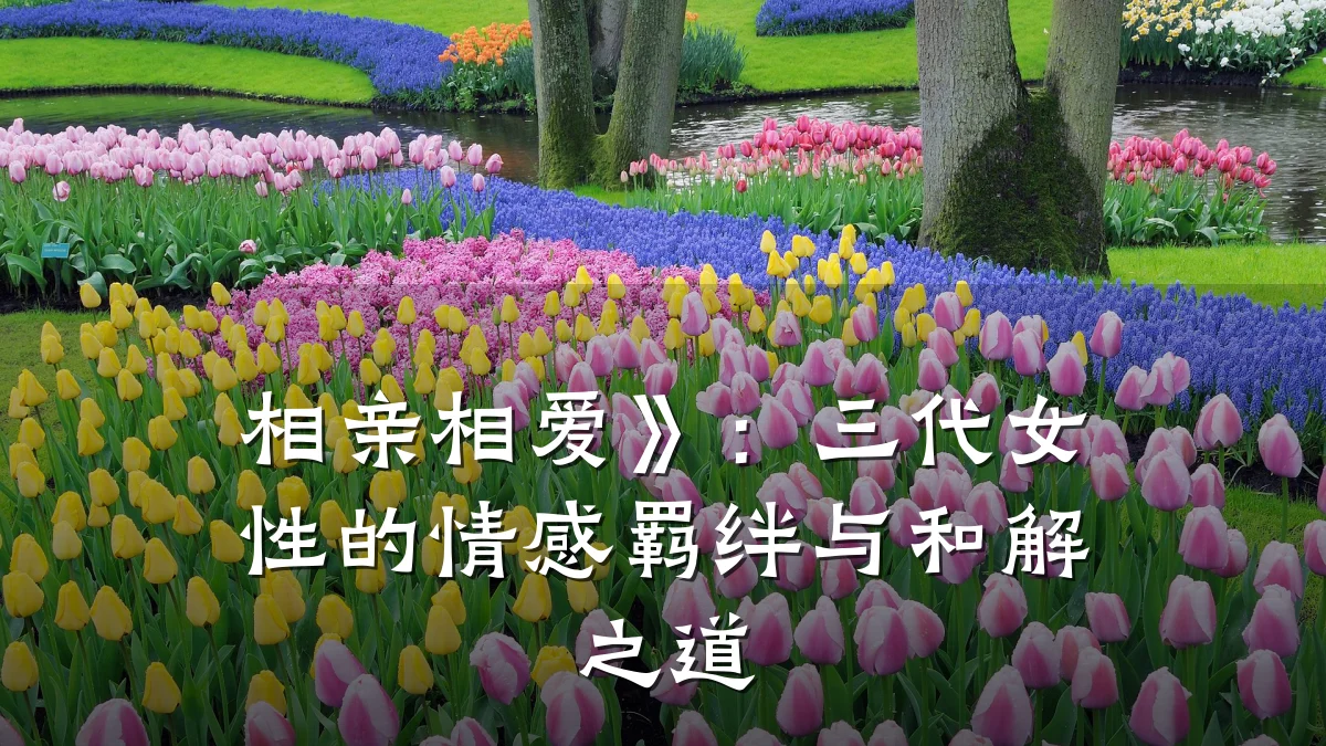 相亲相爱》:三代女性的情感羁绊与和解之道