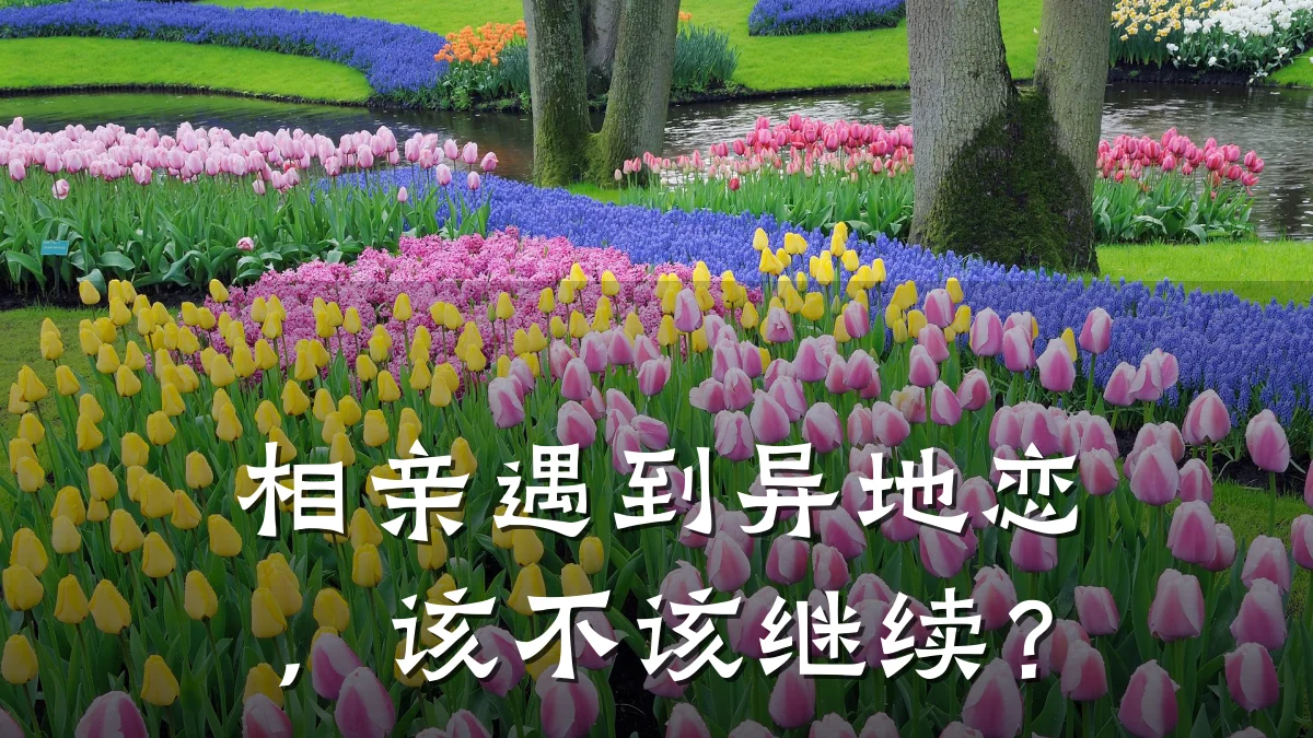 相亲遇到异地恋,该不该继续?
