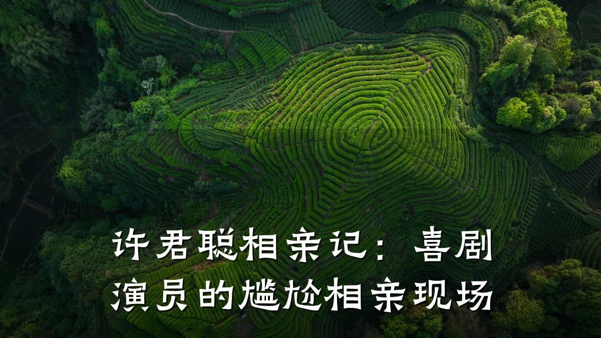 许君聪相亲记:喜剧演员的尴尬相亲现场