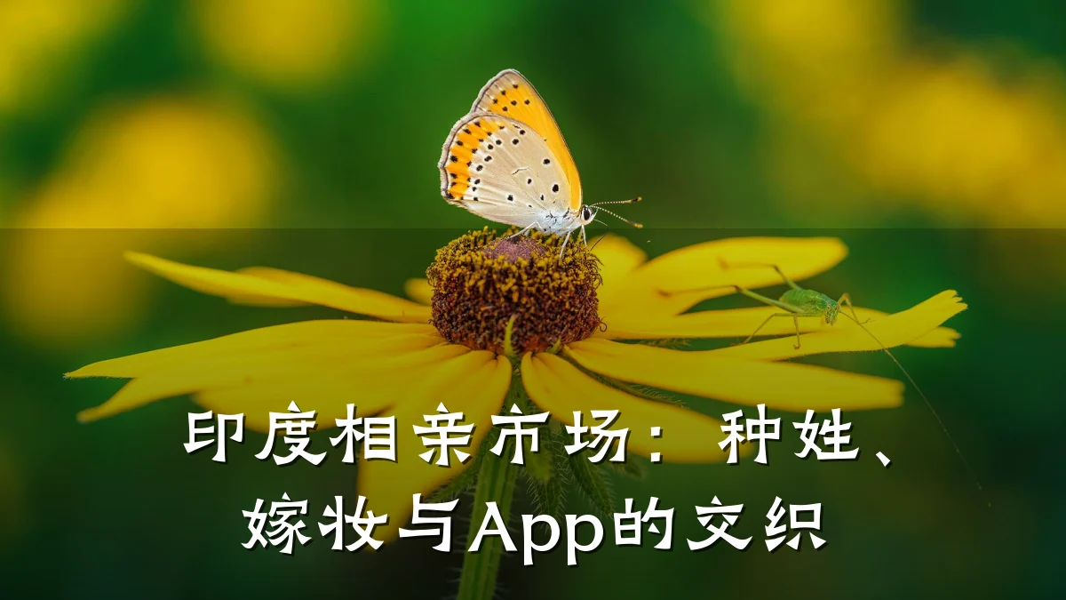 印度相亲市场:种姓、嫁妆与App的交织
