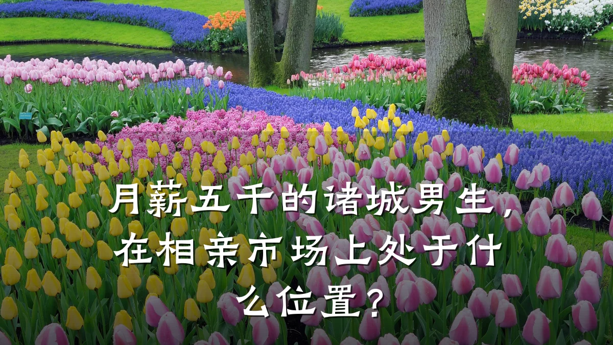 月薪五千的诸城男生,在相亲市场上处于什么位置?