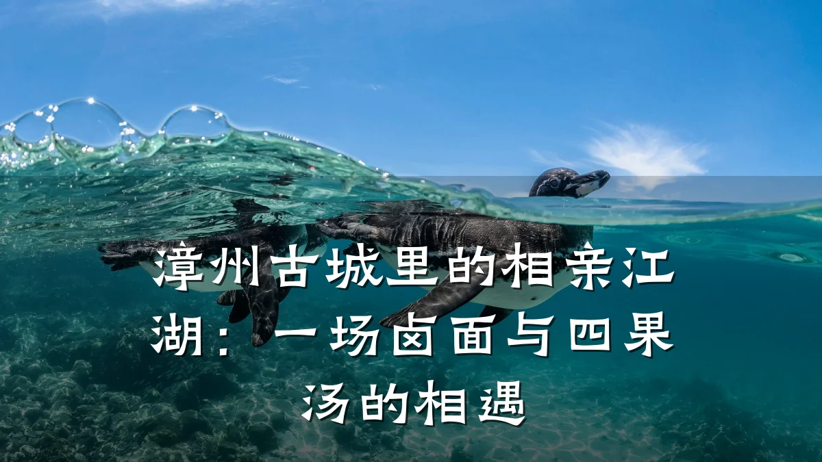 漳州古城里的相亲江湖:一场卤面与四果汤的相遇