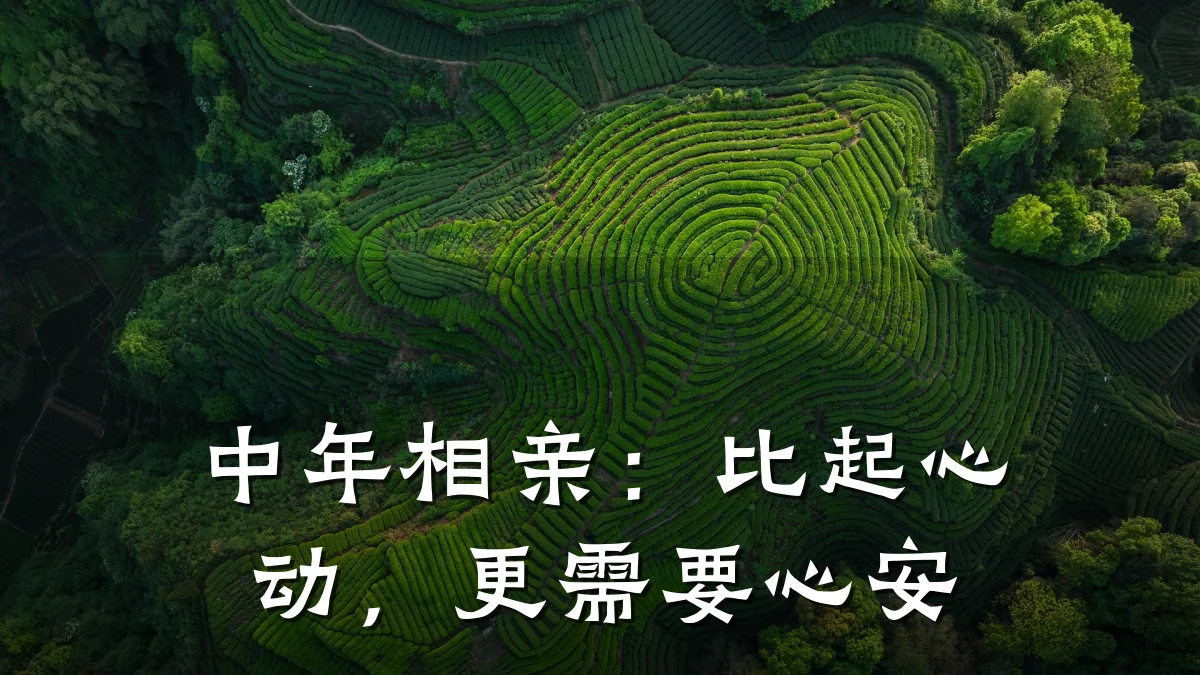 中年相亲:比起心动,更需要心安