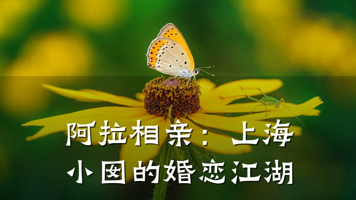阿拉相亲:上海小囡的婚恋江湖