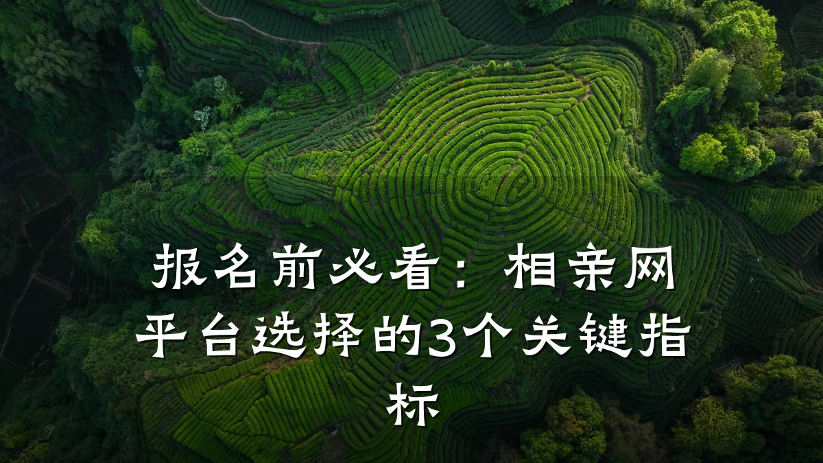 报名前必看:相亲网平台选择的3个关键指标