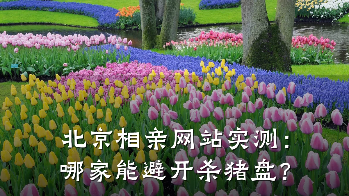 北京相亲网站实测:哪家能避开杀猪盘?