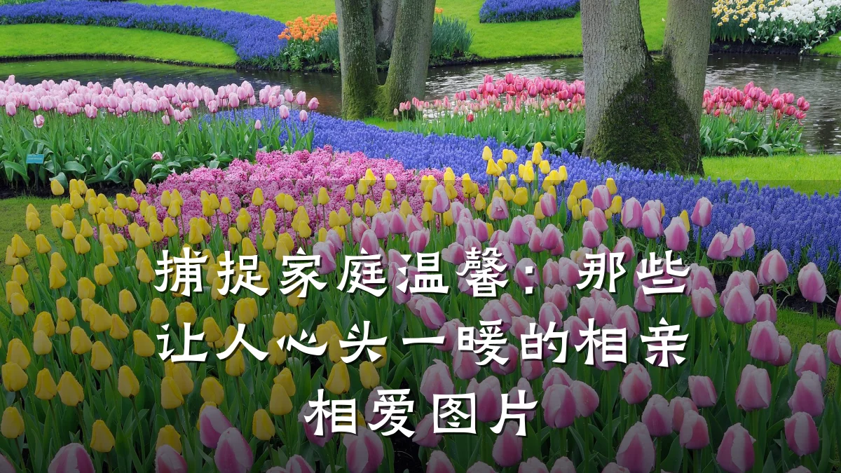 捕捉家庭温馨:那些让人心头一暖的相亲相爱图片