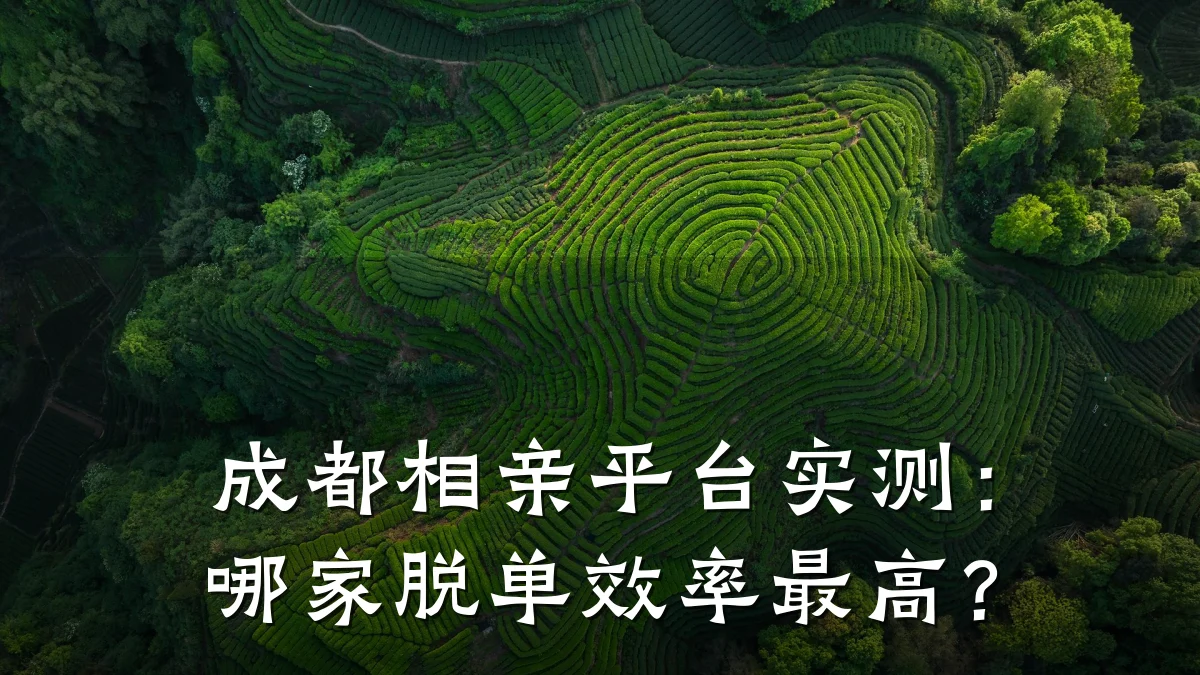 成都相亲平台实测:哪家脱单效率最高?