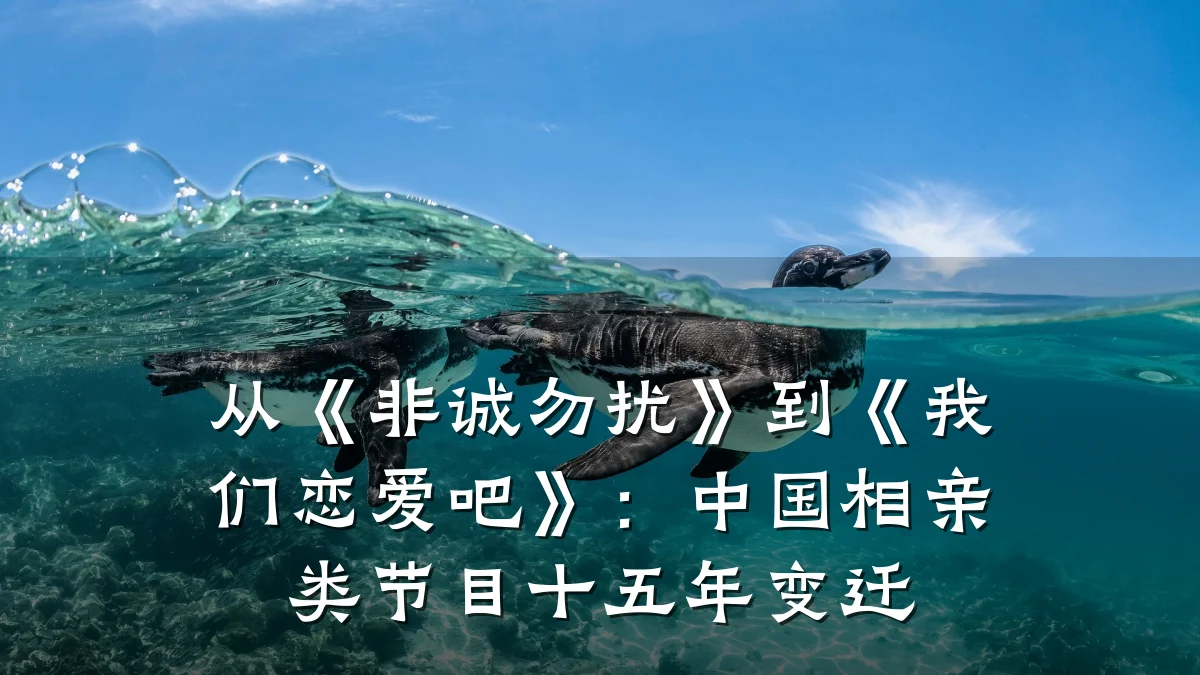从《非诚勿扰》到《我们恋爱吧》:中国相亲类节目十五年变迁