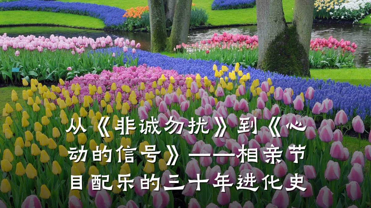 从《非诚勿扰》到《心动的信号》——相亲节目配乐的三十年进化史