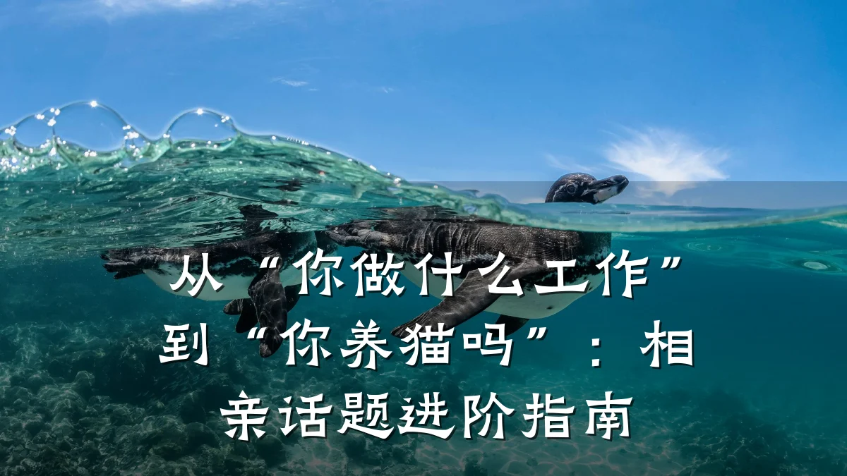 从“你做什么工作”到“你养猫吗”:相亲话题进阶指南