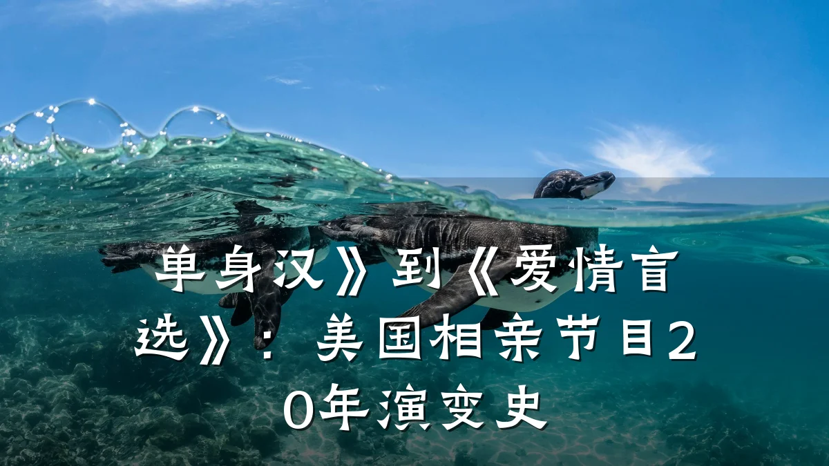 单身汉》到《爱情盲选》:美国相亲节目20年演变史