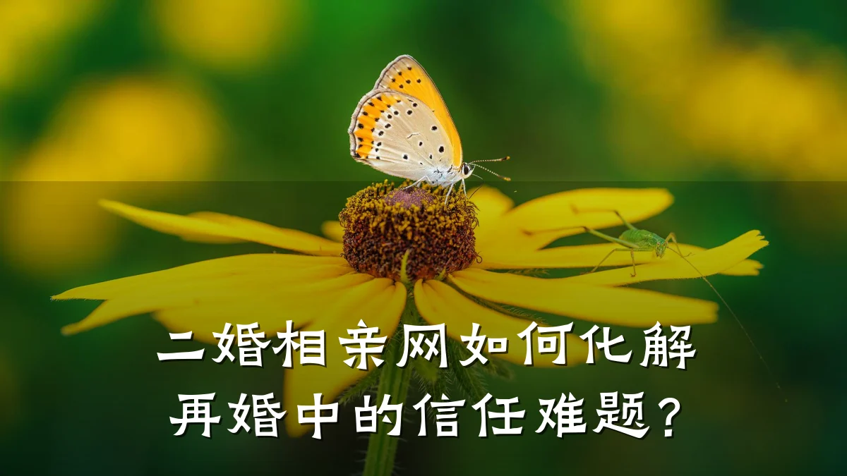 二婚相亲网如何化解再婚中的信任难题?