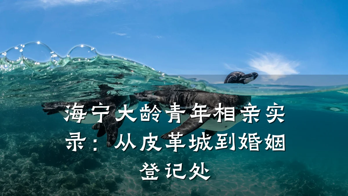 海宁大龄青年相亲实录:从皮革城到婚姻登记处