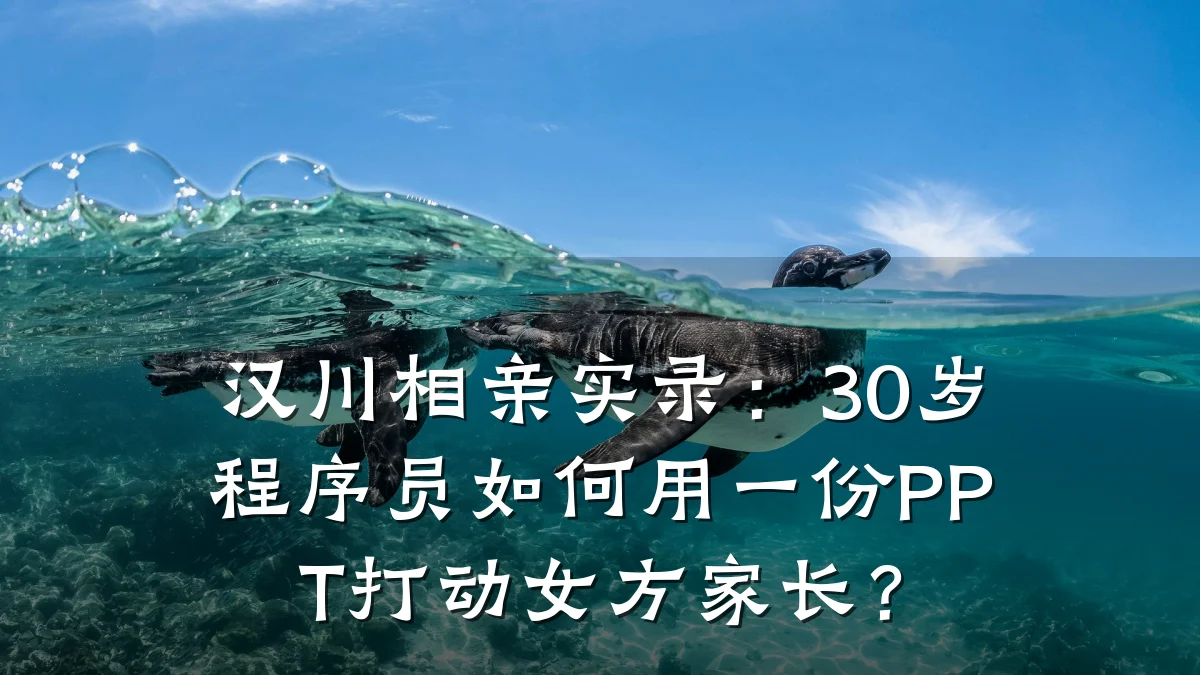 汉川相亲实录:30岁程序员如何用一份PPT打动女方家长?