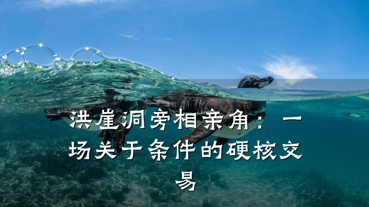 洪崖洞旁相亲角:一场关于条件的硬核交易