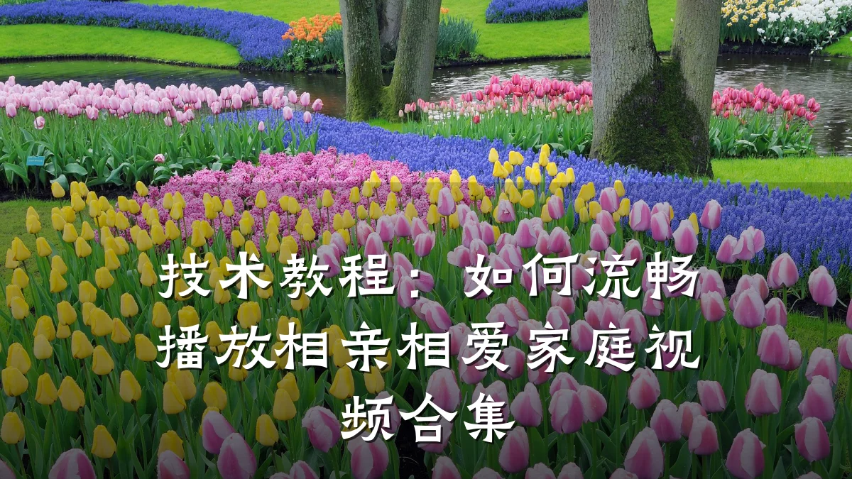 技术教程:如何流畅播放相亲相爱家庭视频合集