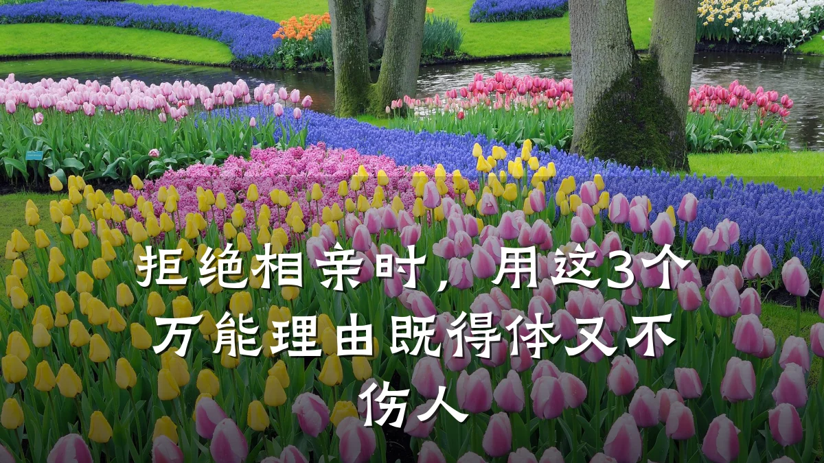 拒绝相亲时,用这3个万能理由既得体又不伤人