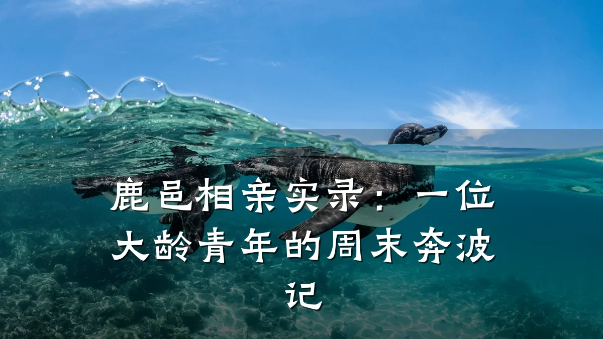 鹿邑相亲实录:一位大龄青年的周末奔波记