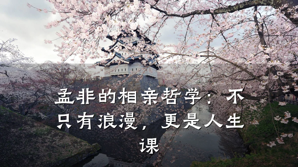 孟非的相亲哲学:不只有浪漫,更是人生课