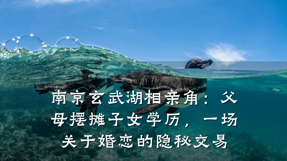 南京玄武湖相亲角:父母摆摊子女学历,一场关于婚恋的隐秘交易