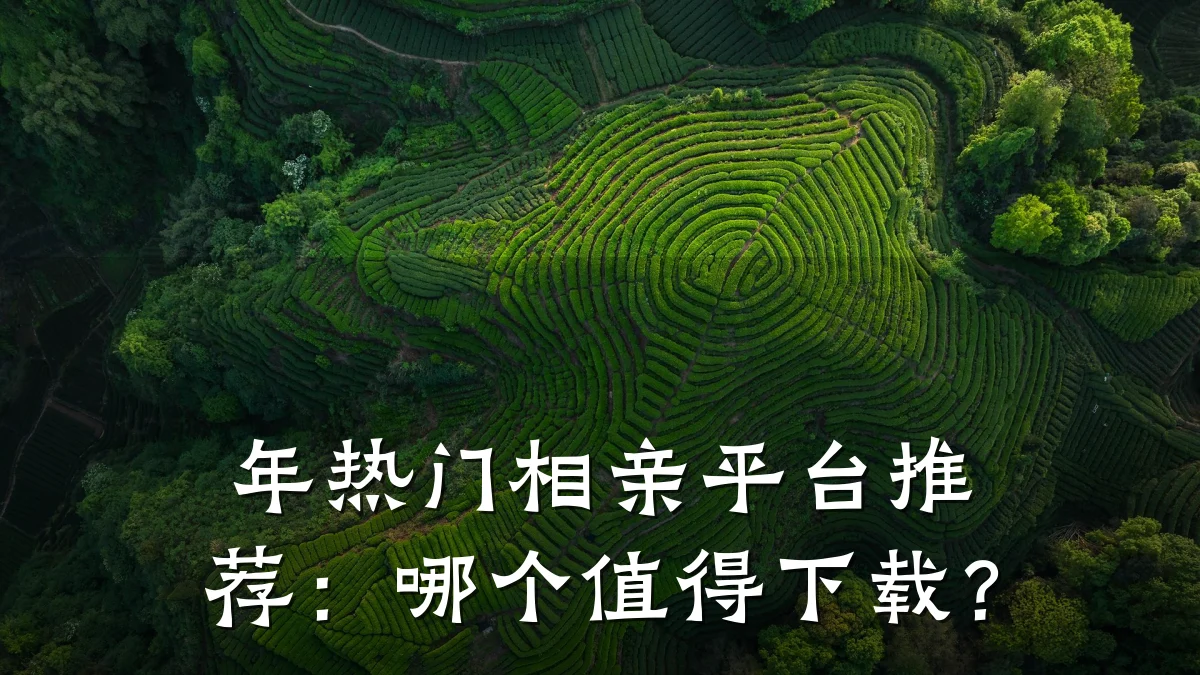 年热门相亲平台推荐:哪个值得下载?