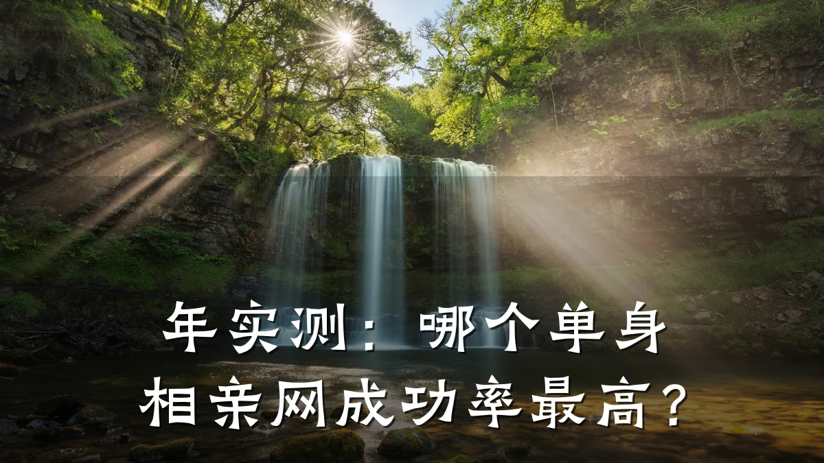 年实测:哪个单身相亲网成功率最高?