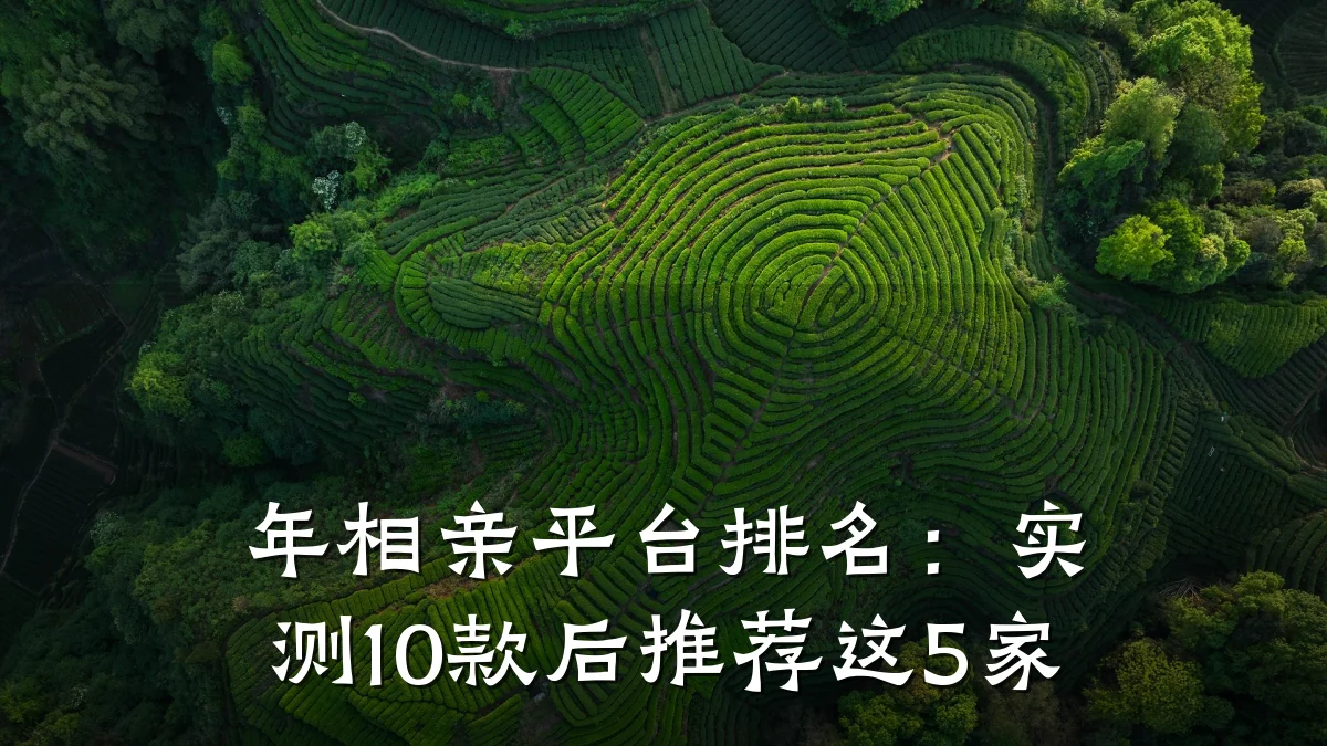 年相亲平台排名:实测10款后推荐这5家