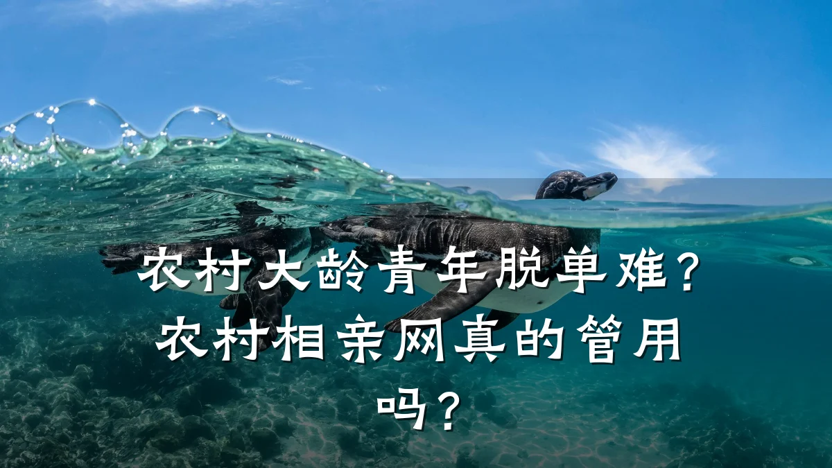 农村大龄青年脱单难?农村相亲网真的管用吗?