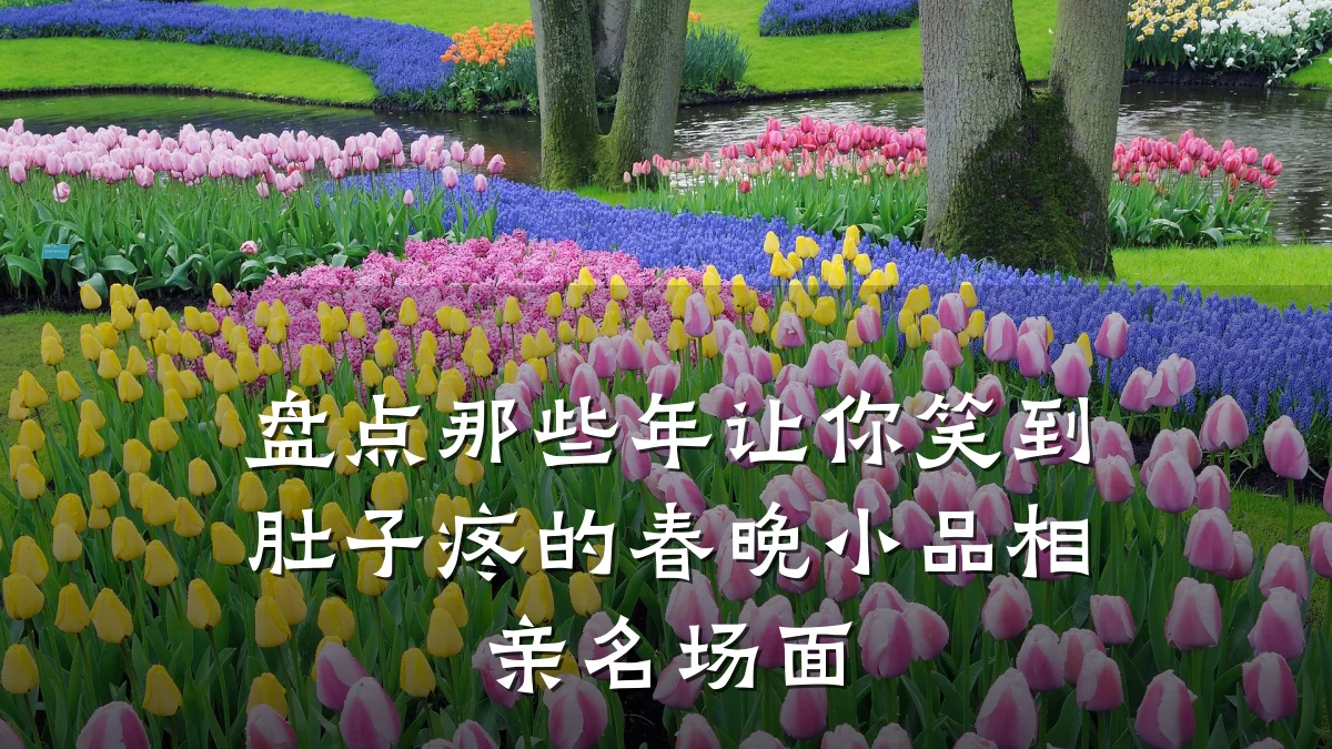 盘点那些年让你笑到肚子疼的春晚小品相亲名场面