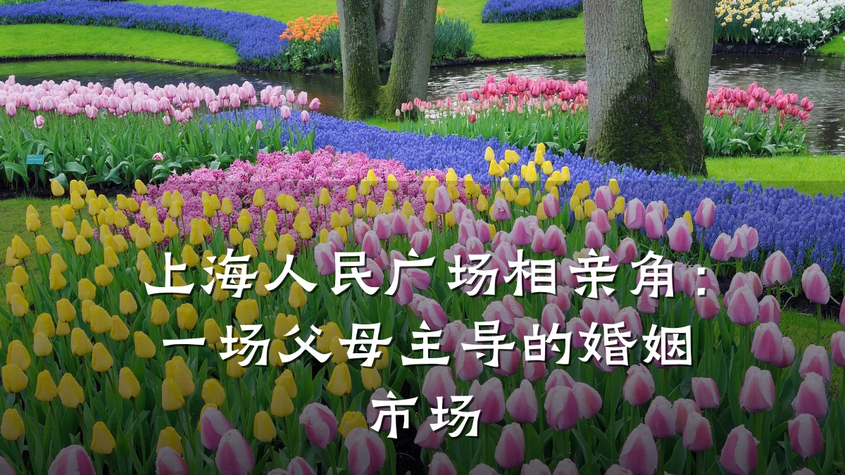 上海人民广场相亲角:一场父母主导的婚姻市场