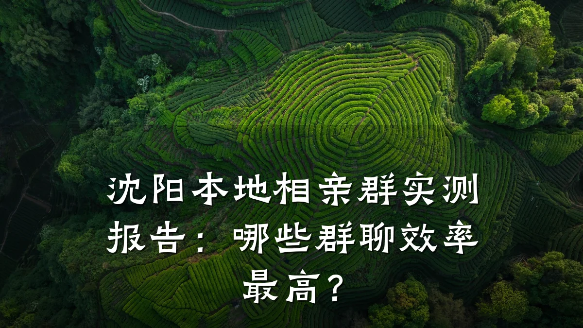 沈阳本地相亲群实测报告:哪些群聊效率最高?