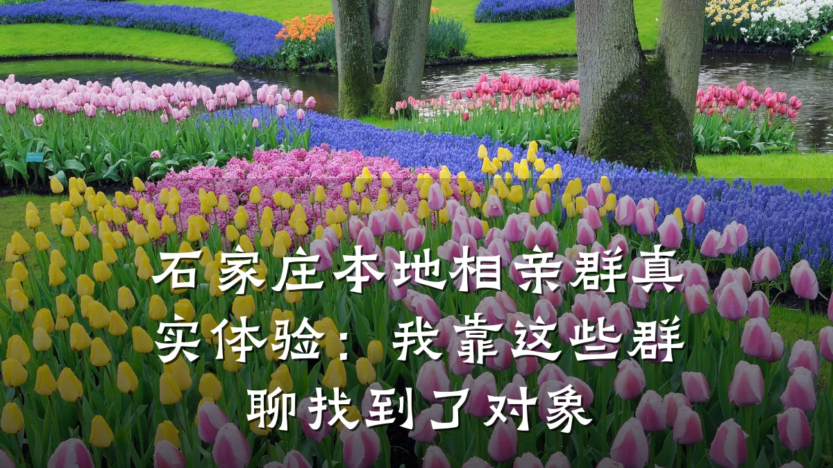 石家庄本地相亲群真实体验:我靠这些群聊找到了对象