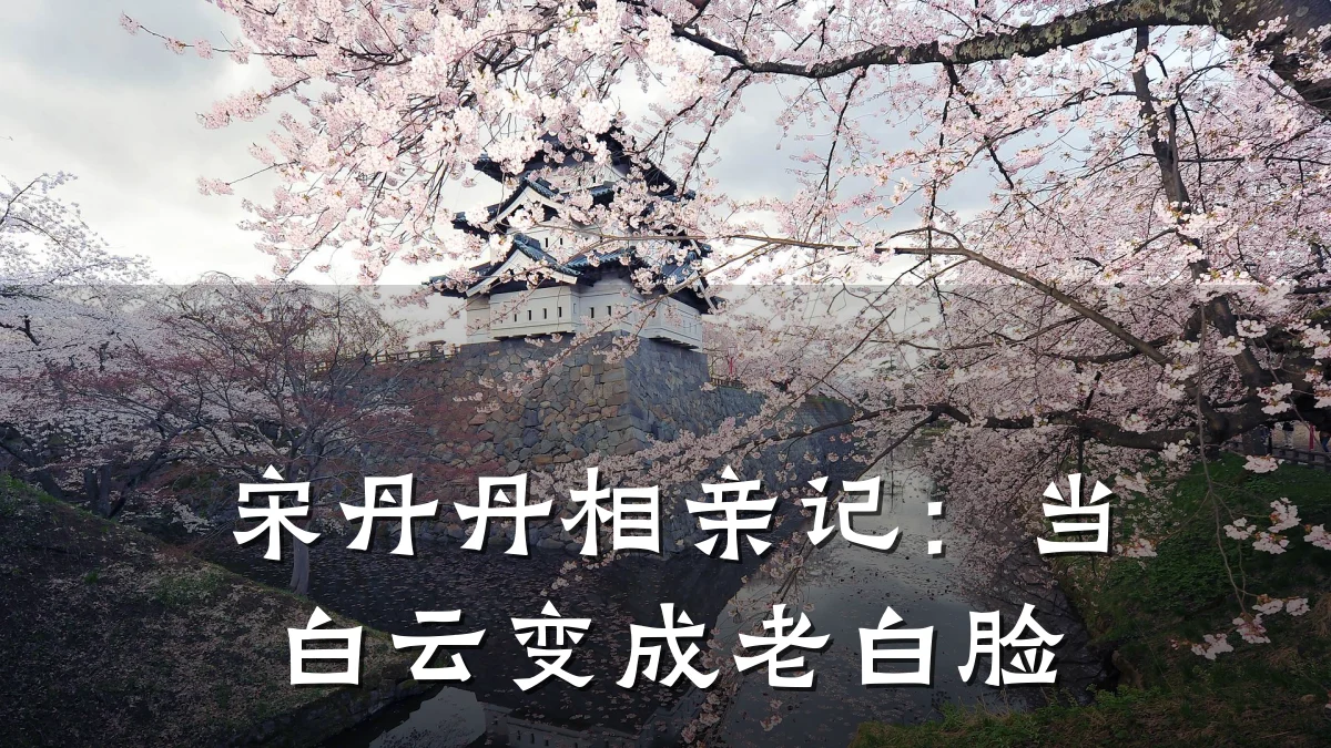 宋丹丹相亲记:当白云变成老白脸