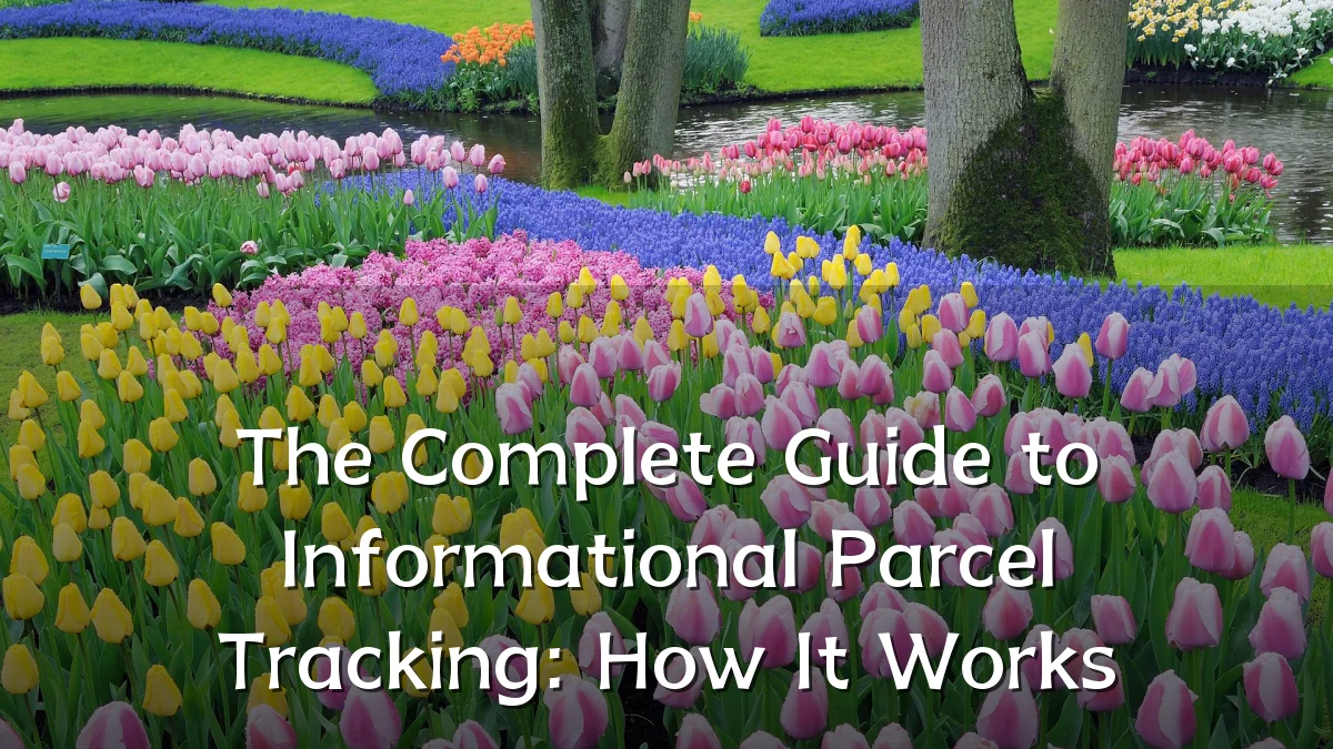 The Complete Guide to Informational Parcel Tracking: How It Works
