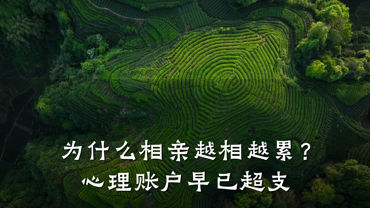 为什么相亲越相越累?心理账户早已超支