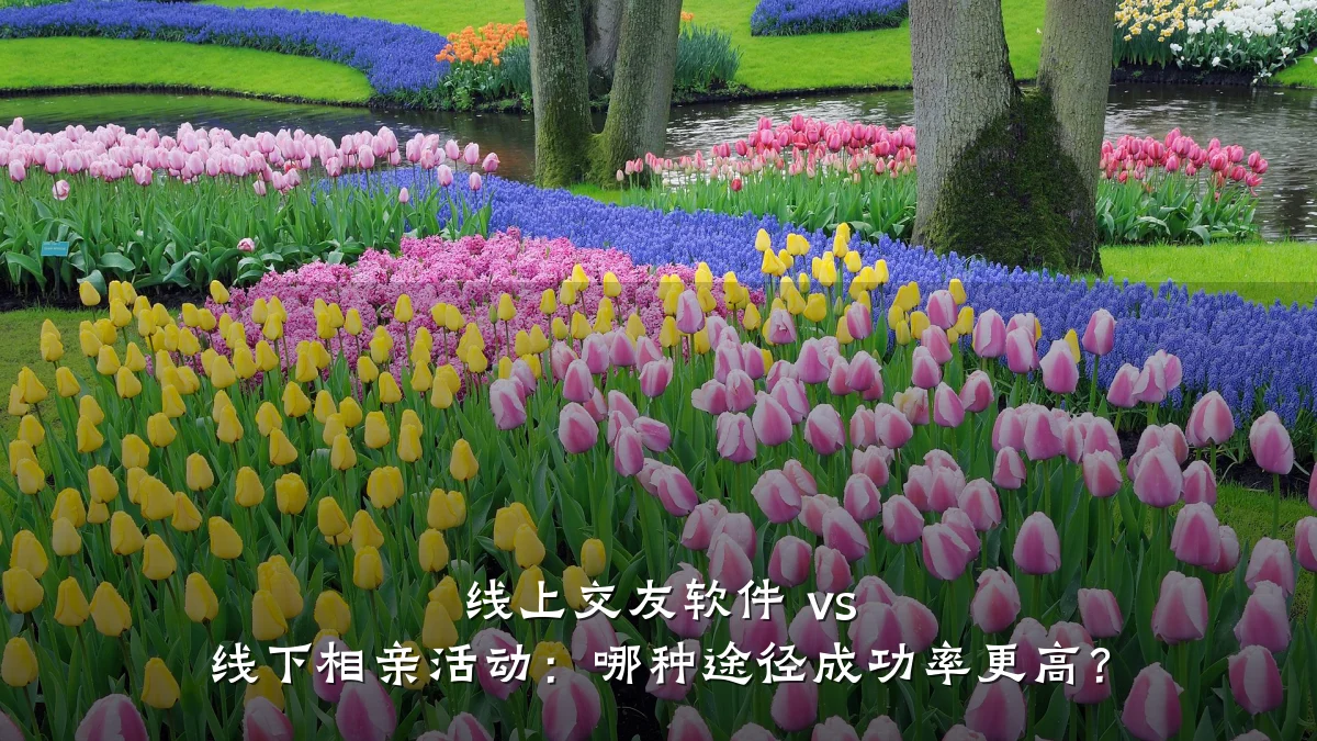 线上交友软件 vs 线下相亲活动:哪种途径成功率更高?