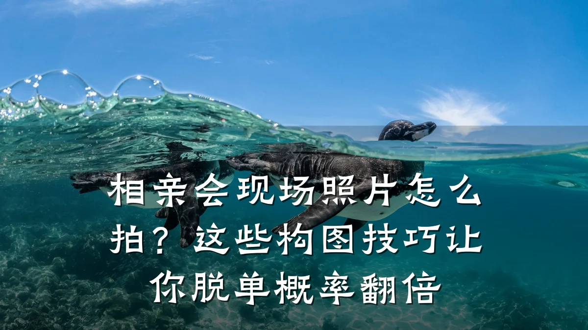 相亲会现场照片怎么拍?这些构图技巧让你脱单概率翻倍