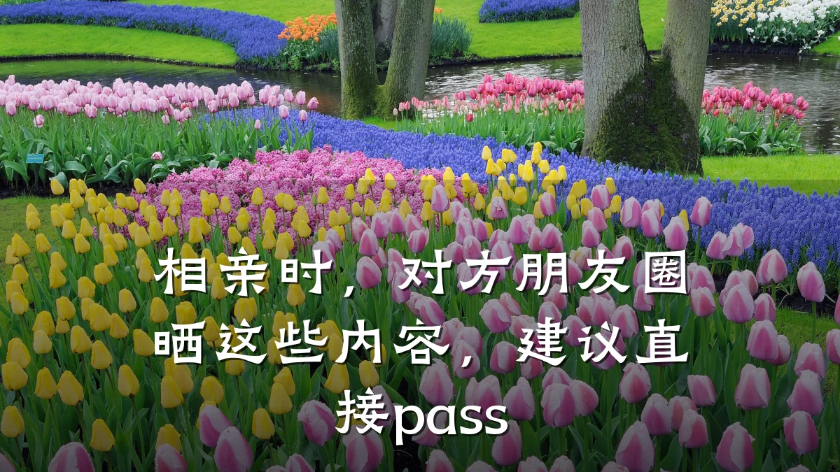 相亲时,对方朋友圈晒这些内容,建议直接pass