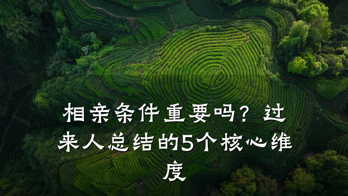 相亲条件重要吗?过来人总结的5个核心维度