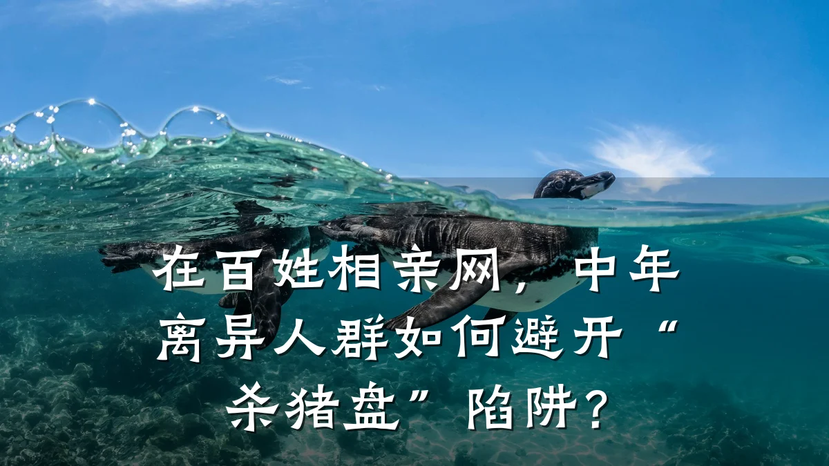 在百姓相亲网,中年离异人群如何避开“杀猪盘”陷阱?