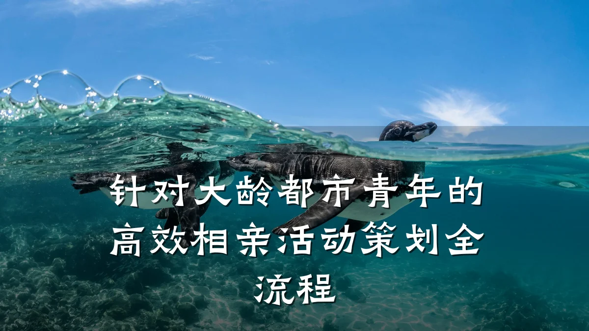 针对大龄都市青年的高效相亲活动策划全流程
