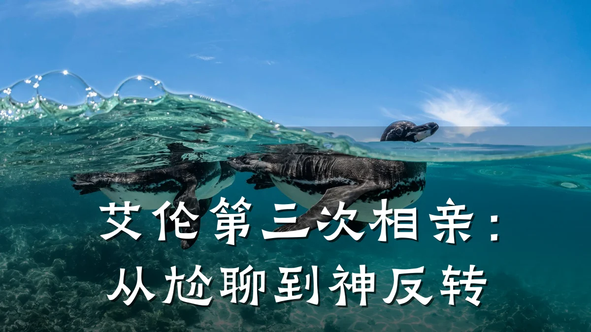 艾伦第三次相亲:从尬聊到神反转