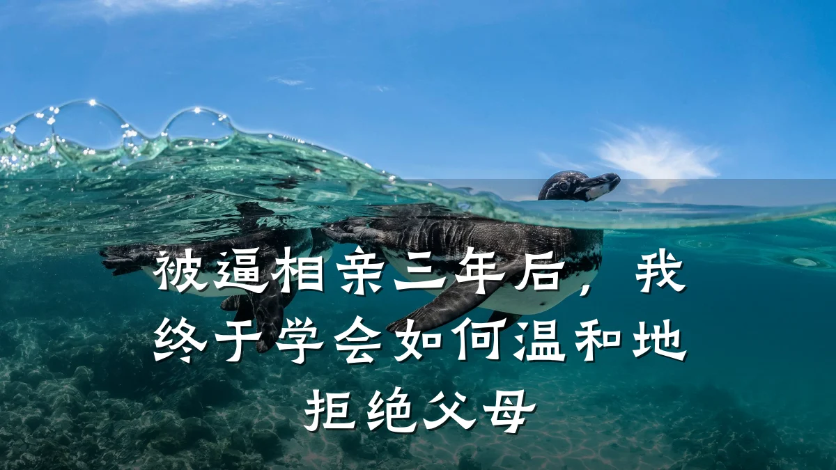 被逼相亲三年后,我终于学会如何温和地拒绝父母